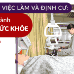 Nếu bạn muốn việc làm và định cư: Y tế và Các ngành Chăm sóc sức khỏe là một lựa chọn tốt tại Australian Catholic University