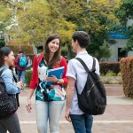 Curtin College- Curtin University: Lộ trình học nhanh- tiết kiệm tại trường Top 1% thế giới