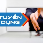 Tuyển nhiều vị trí tại Công ty du học Đức Anh  ngay trong tháng 11- 12/2018